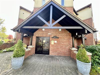 Picture 15